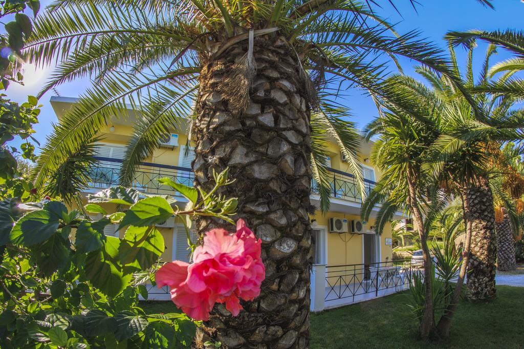 Olive Grove Apts Литакия Номер фото
