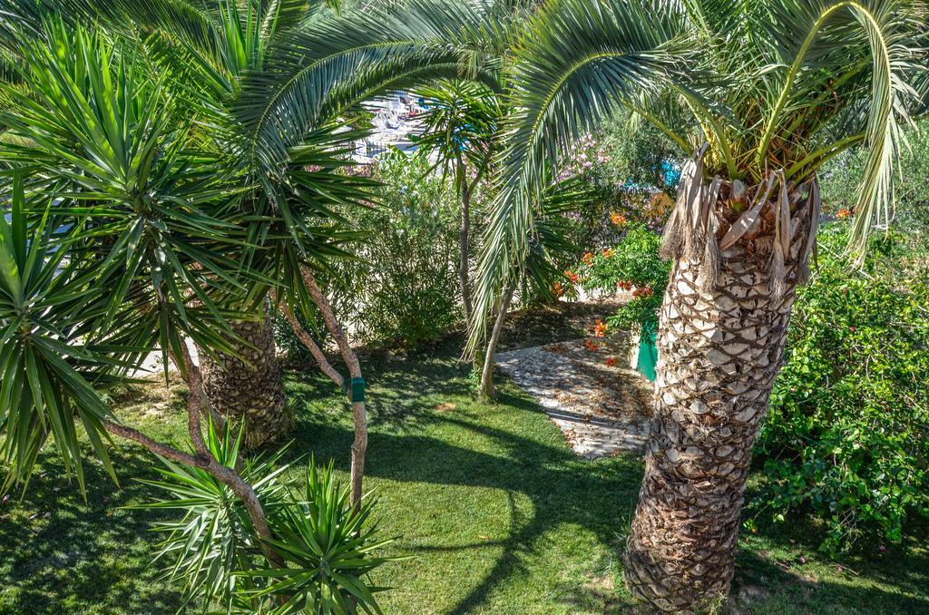 Olive Grove Apts Литакия Экстерьер фото