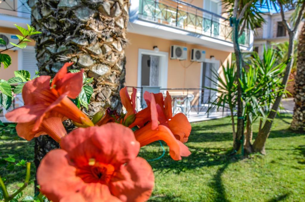Olive Grove Apts Литакия Экстерьер фото